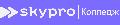 Skypro колледж в Казани в Казани